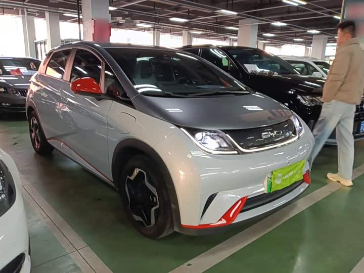 Фото 4 - BYD Dolphin