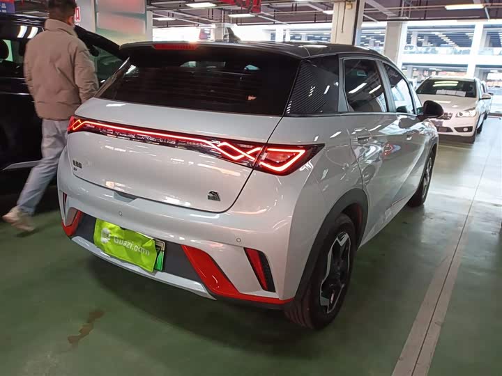 Фото 7 - BYD Dolphin