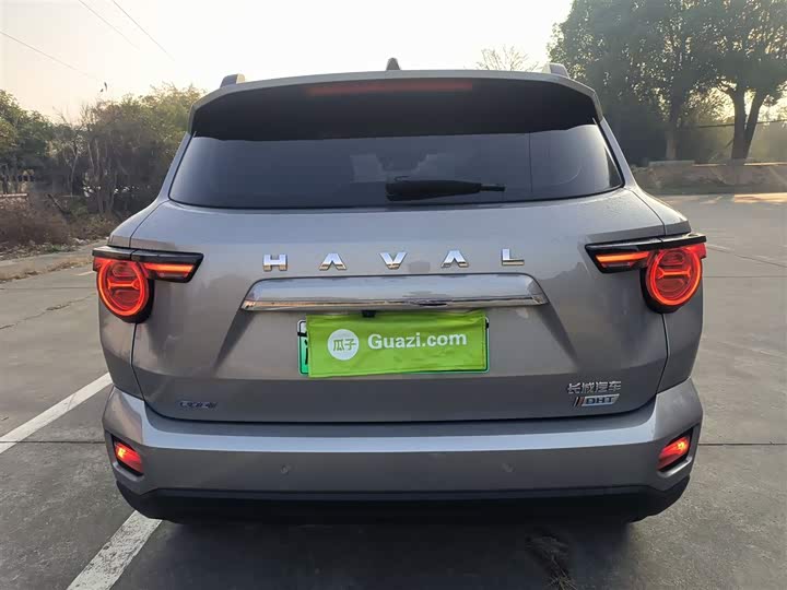 Фото 6 - Haval H-Dog Hybrid