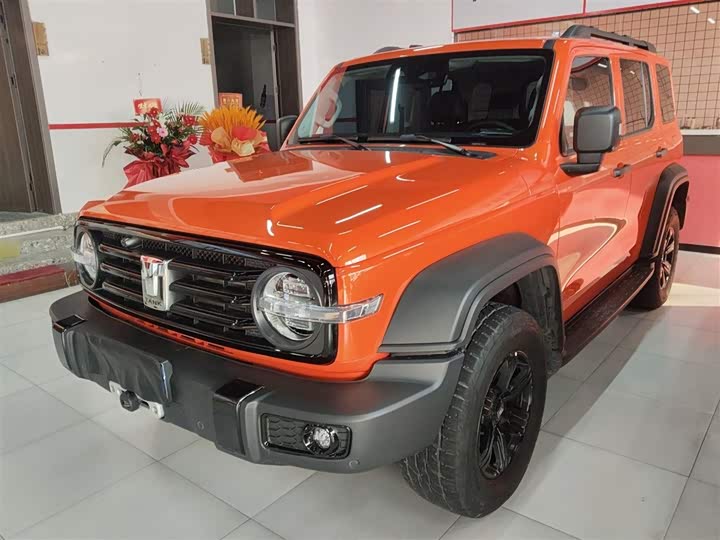 Фото 2 - Tank 300