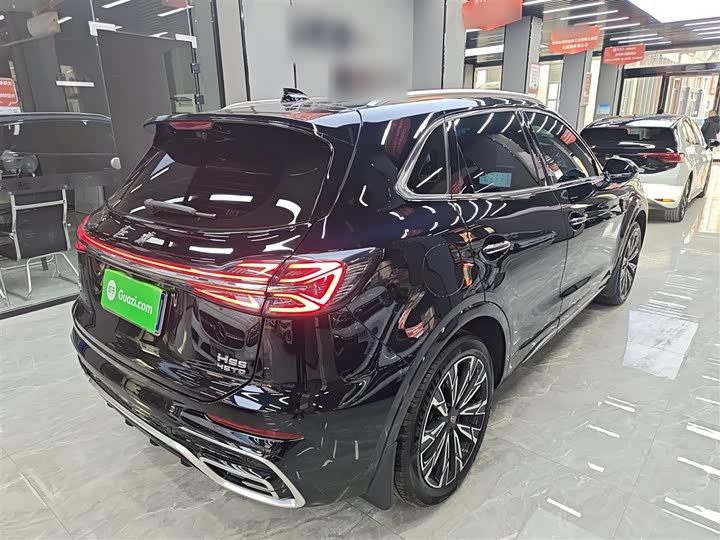 Фото 7 - Hongqi HS5