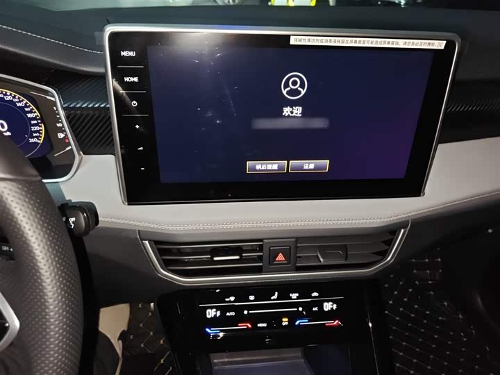 Фото 6 - Volkswagen Tayron X