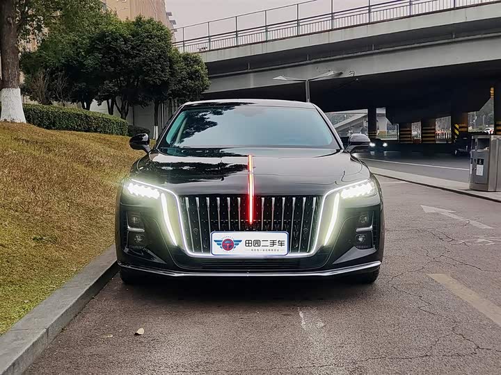Фото 2 - Hongqi H5