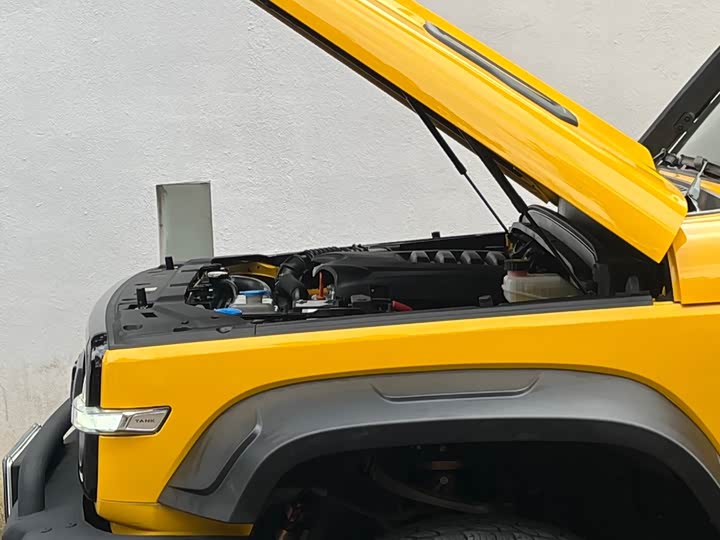 Фото 4 - Tank 300