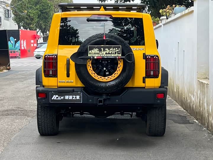 Фото 6 - Tank 300