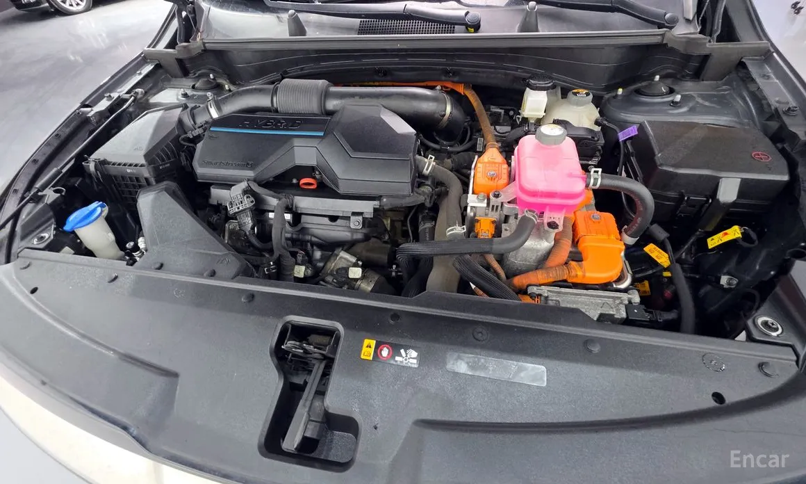 Фото 6 - Kia Sportage