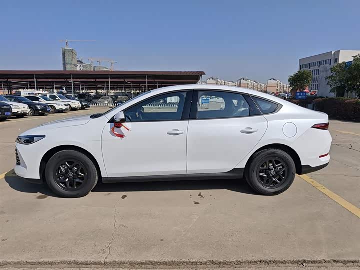 Фото 5 - BYD Qin Plus