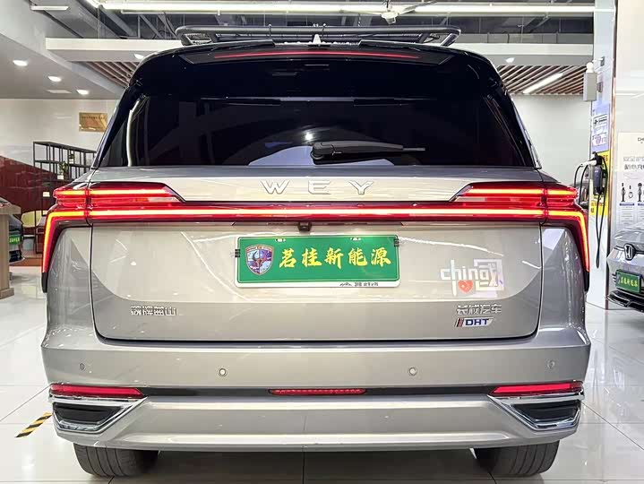 Фото 5 - Wey Lanshan