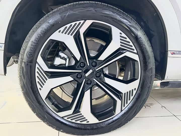 Фото 7 - Wey Lanshan