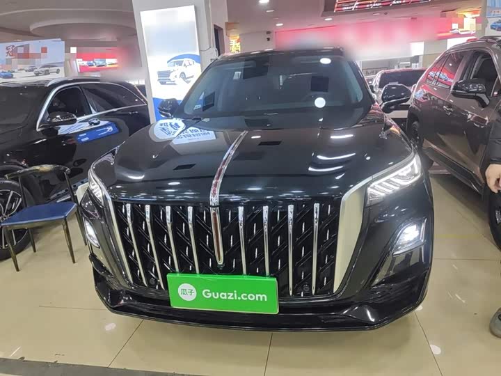 Фото 3 - Hongqi HS5