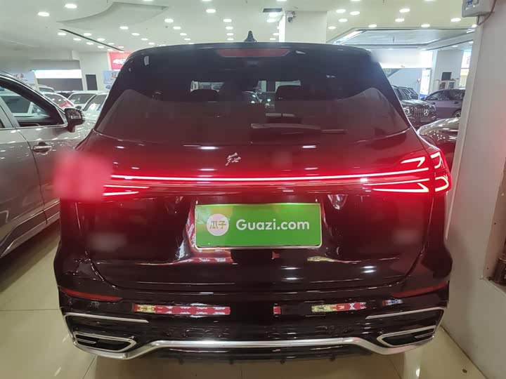 Фото 6 - Hongqi HS5