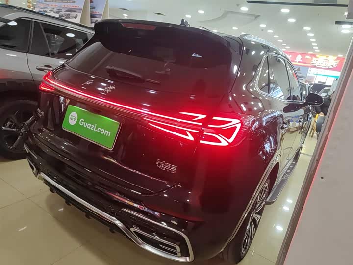 Фото 7 - Hongqi HS5