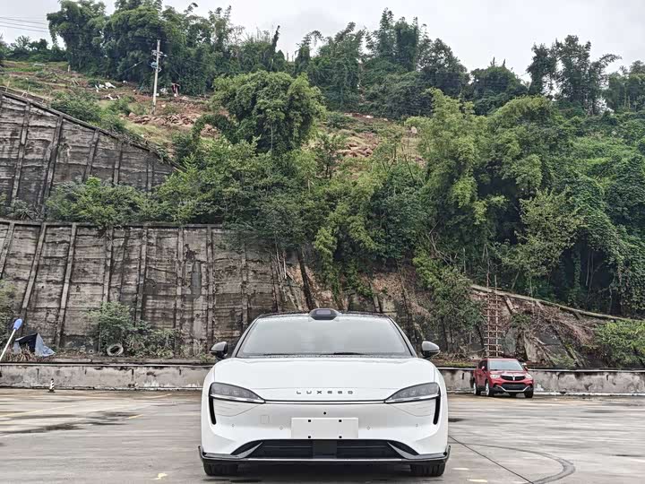 Фото 2 - Luxeed S7