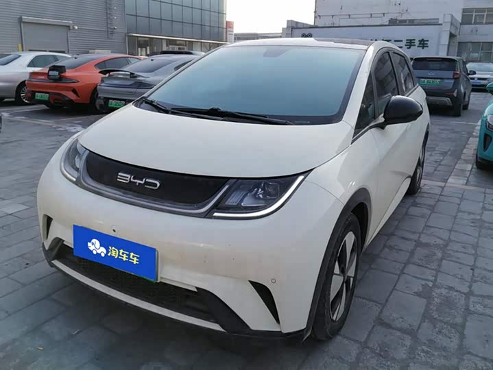 Фото 1 - BYD Dolphin