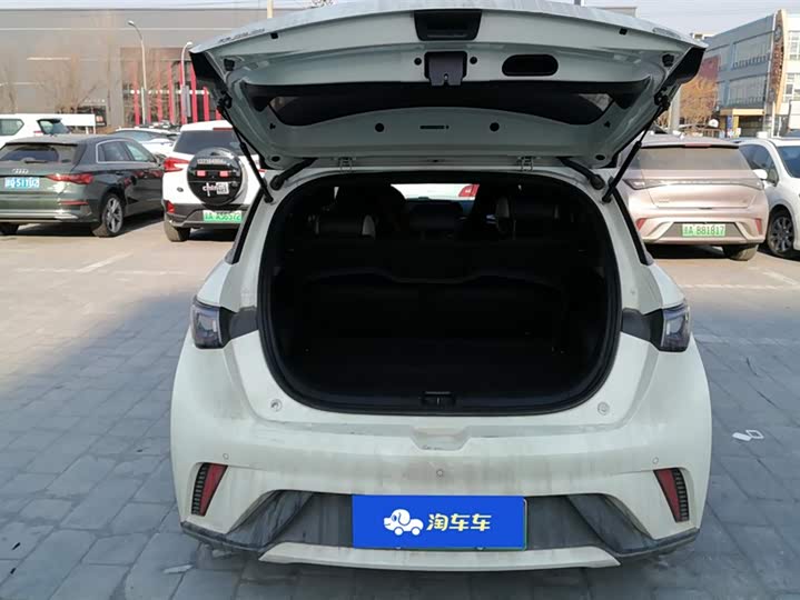 Фото 4 - BYD Dolphin