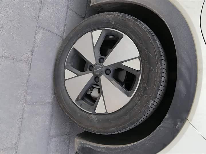 Фото 6 - BYD Dolphin