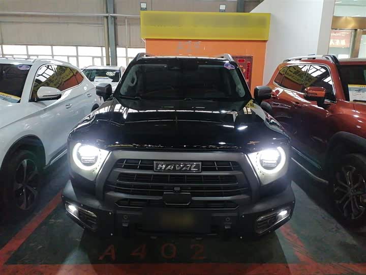 Фото 3 - Haval Dargo