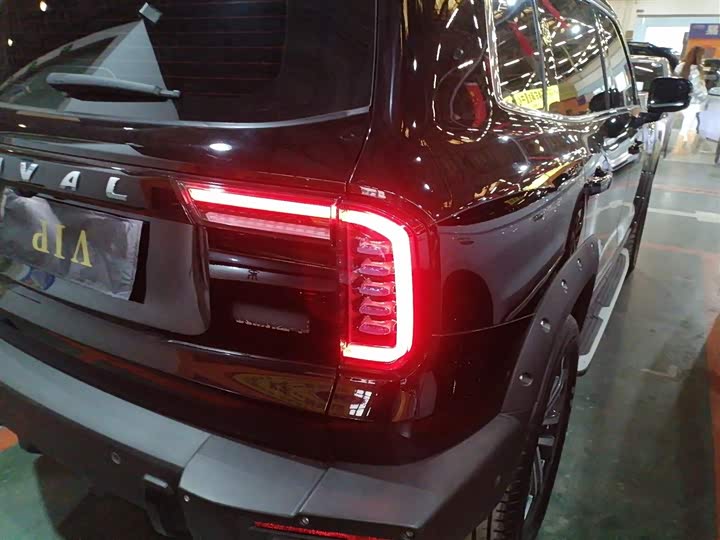 Фото 8 - Haval Dargo