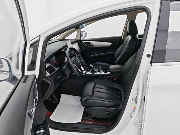 Фото 4 - BYD Song Max