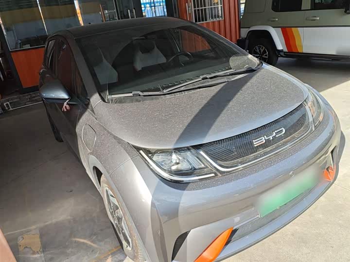 Фото 4 - BYD Dolphin