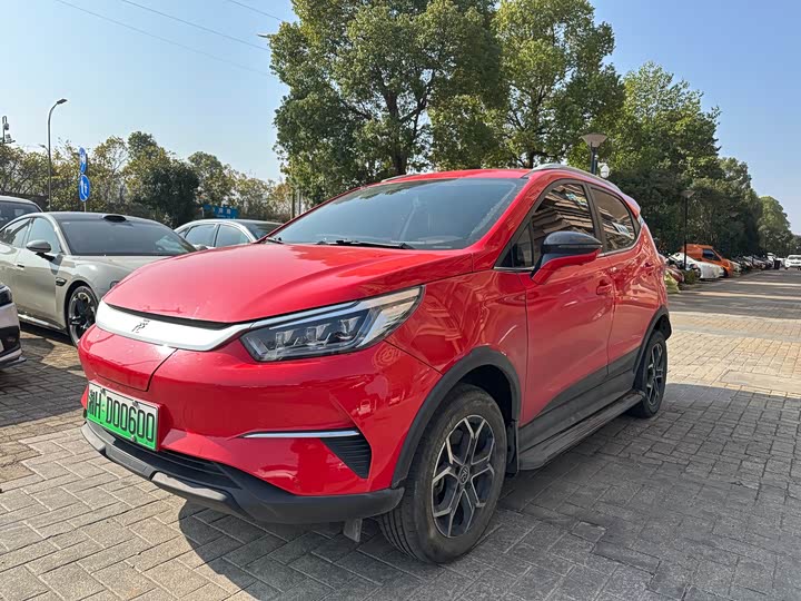 Фото 1 - BYD Yuan Pro