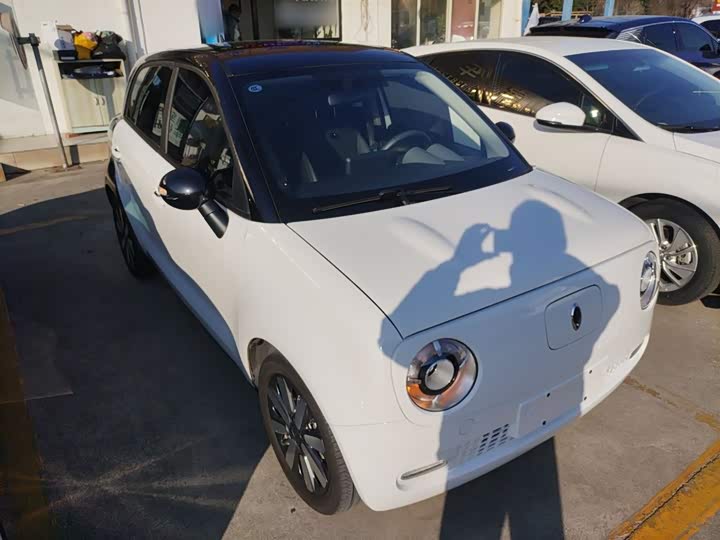 Фото 4 - Ora Black Cat