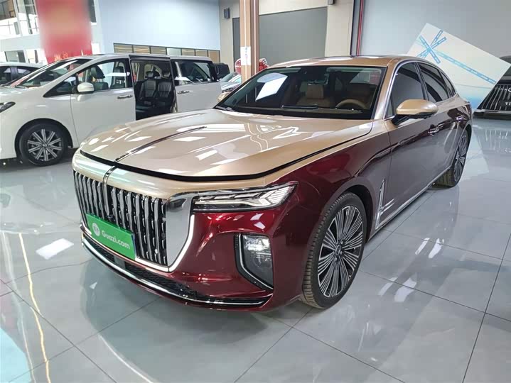 Фото 2 - Hongqi H9