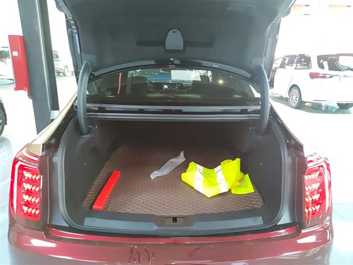 Фото 9 - Hongqi H9