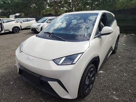 Фото 1 - BYD Seagull