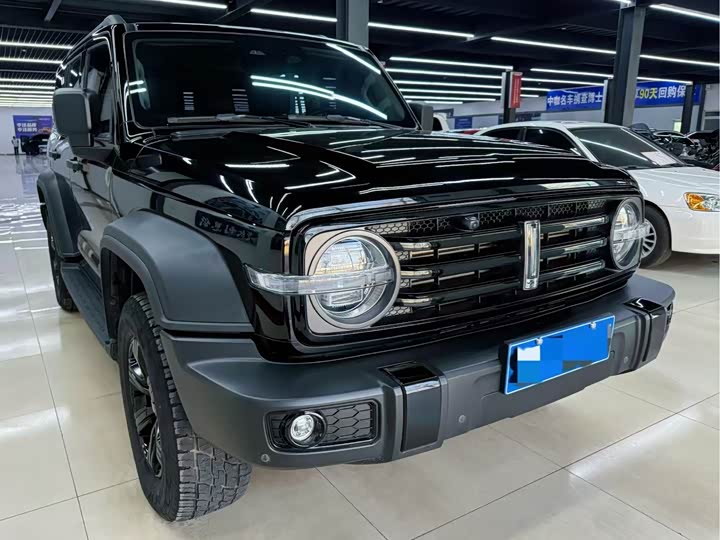 Фото 2 - Tank 300