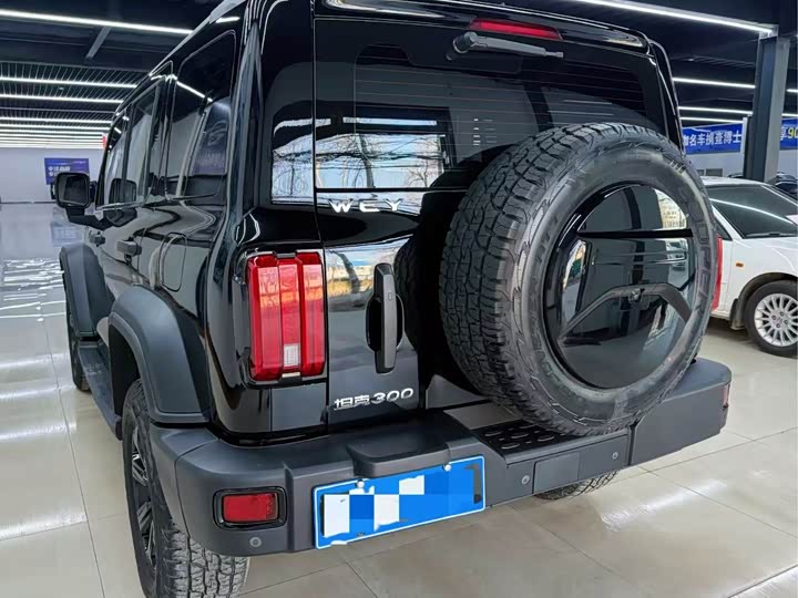 Фото 4 - Tank 300