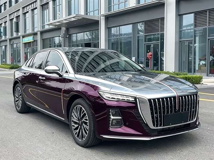 Фото 3 - Hongqi H5