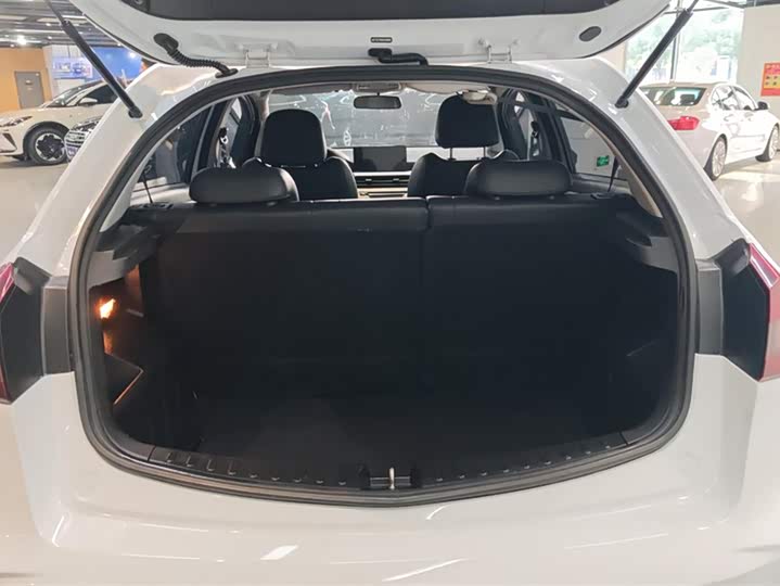 Фото 4 - Geely Geometry EX3