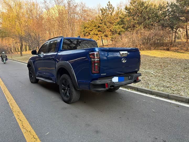 Фото 4 - Great Wall Pao