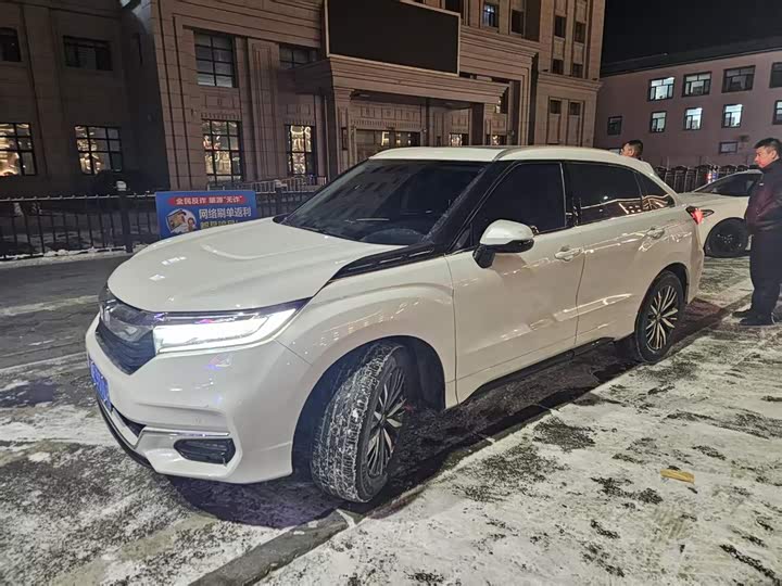 Фото 1 - Honda Avancier