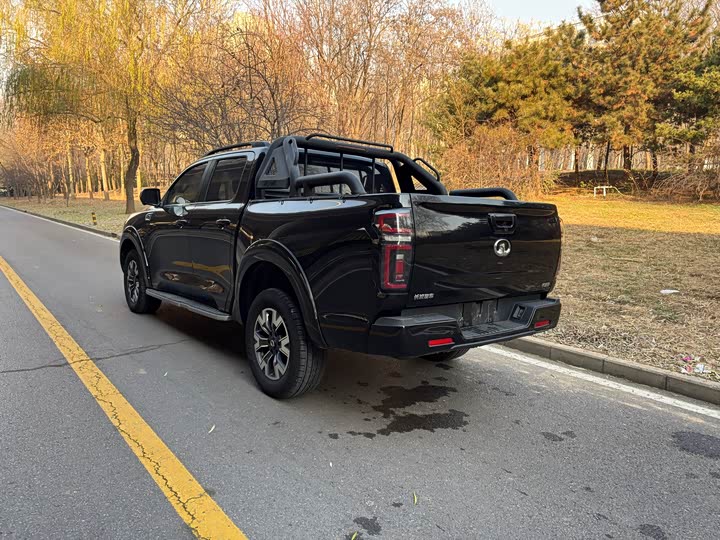 Фото 4 - Great Wall Pao