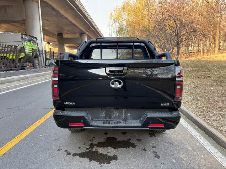 Фото 5 - Great Wall Pao