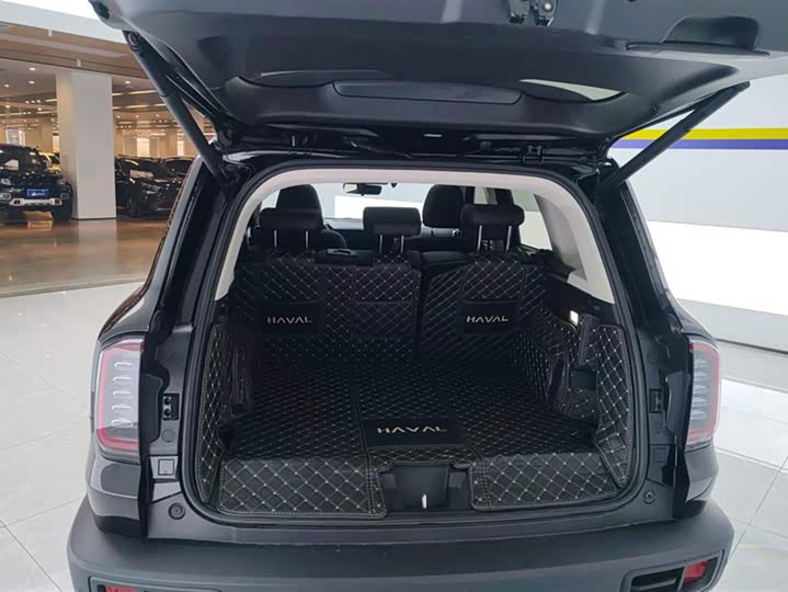 Фото 4 - Haval Dargo