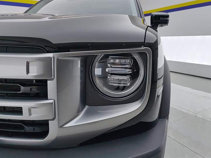 Фото 5 - Haval Dargo