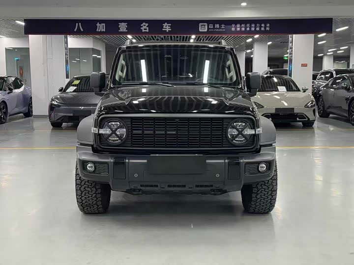 Фото 2 - Tank 300