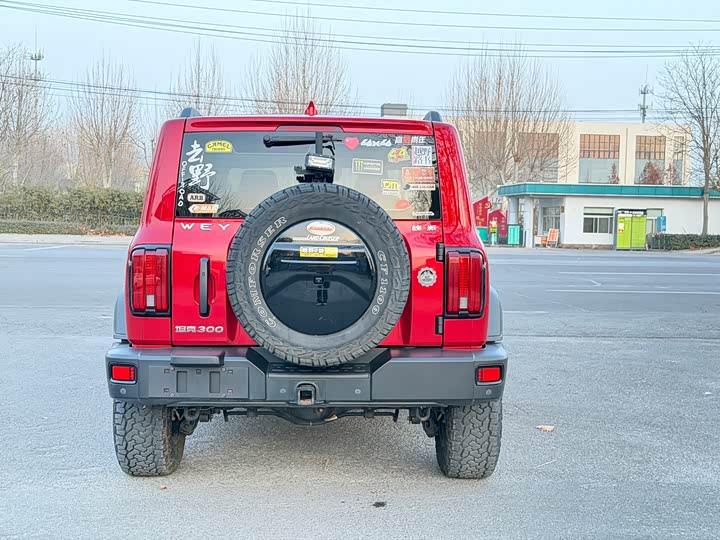 Фото 4 - Tank 300