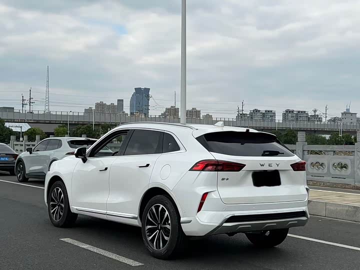 Фото 7 - Wey Mocha