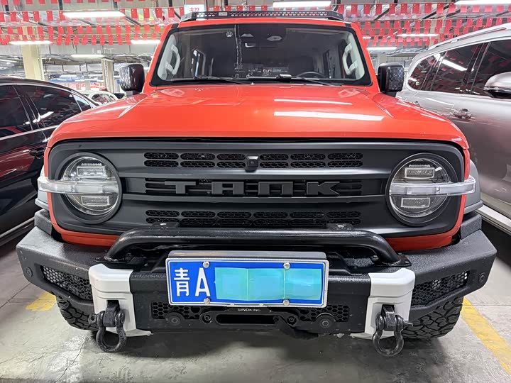 Фото 2 - Tank 300