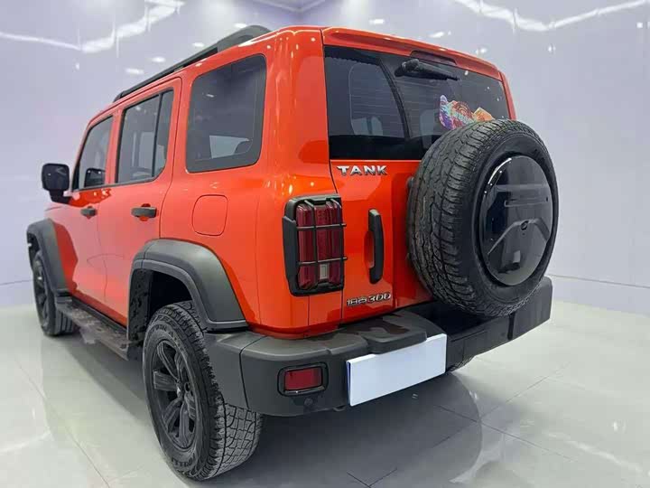 Фото 3 - Tank 300