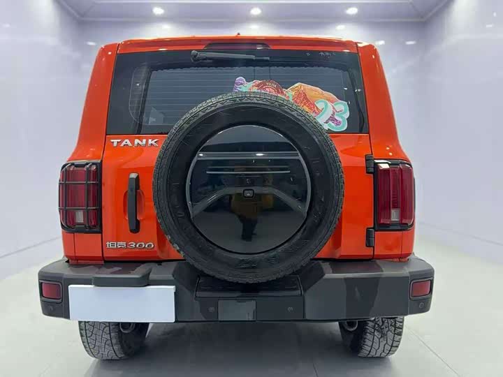 Фото 4 - Tank 300