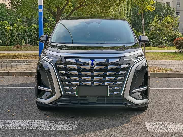 Фото 2 - Denza D9