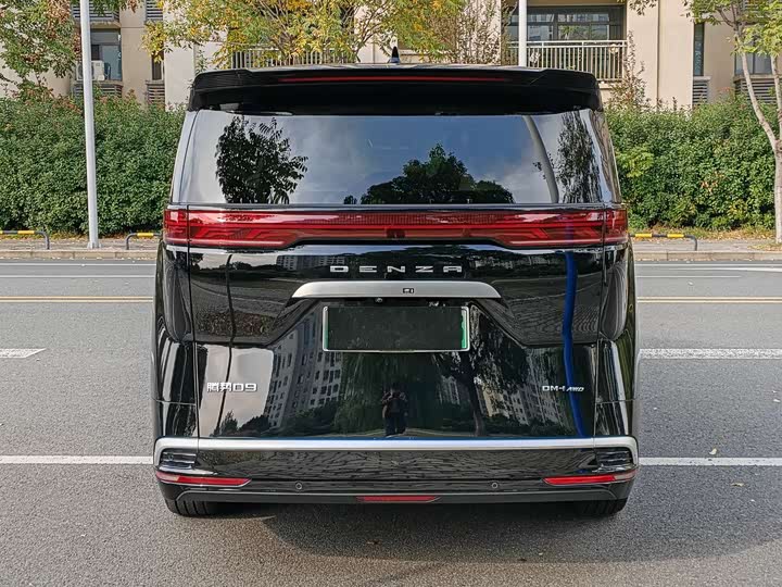 Фото 4 - Denza D9