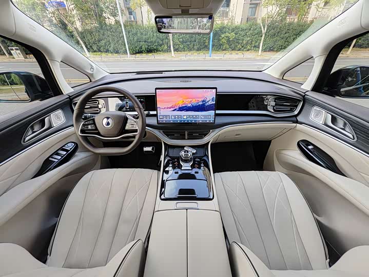 Фото 6 - Denza D9