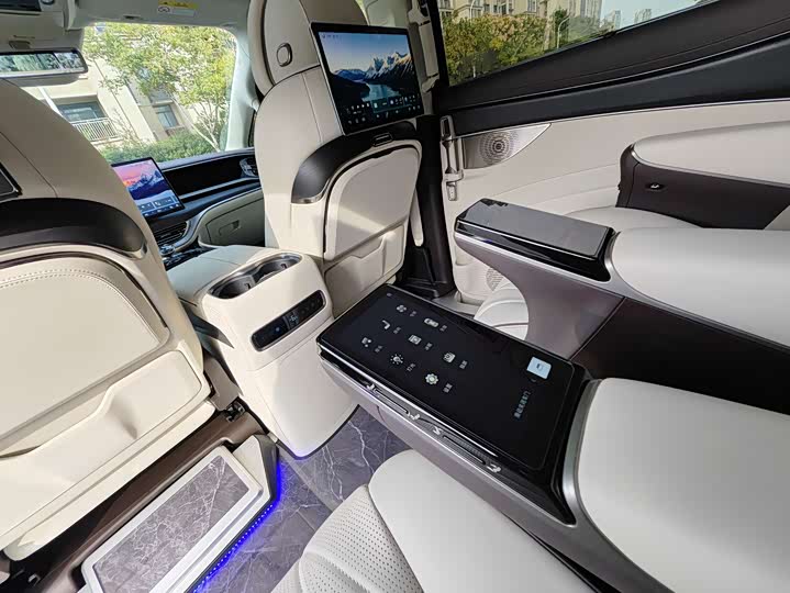 Фото 9 - Denza D9