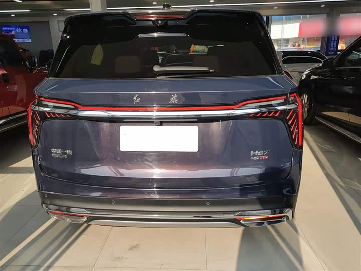 Фото 6 - Hongqi HS7